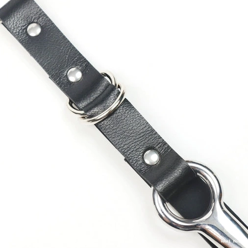 Kinky 5853 Collar EverydayUse Anal Hook Leash with and 0806